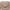 Μπουρνούζι με κουκούλα s/m/l/xl art3421 Κοραλί (Αντιγραφή)